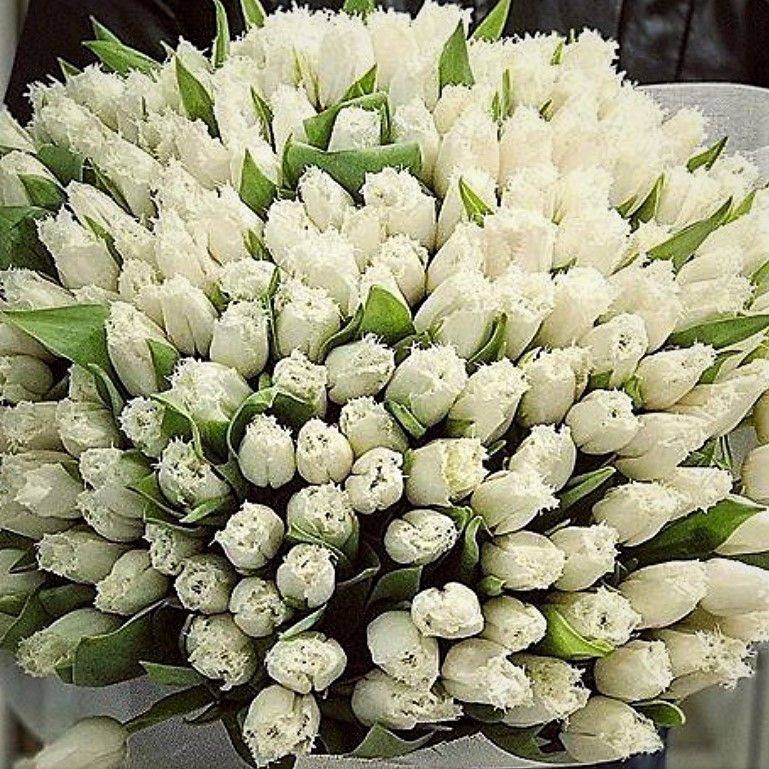 Букет тюльпанов большой купить букет цветов в москве недорого самовывоз