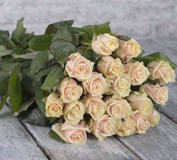 Букет кремовых роз 